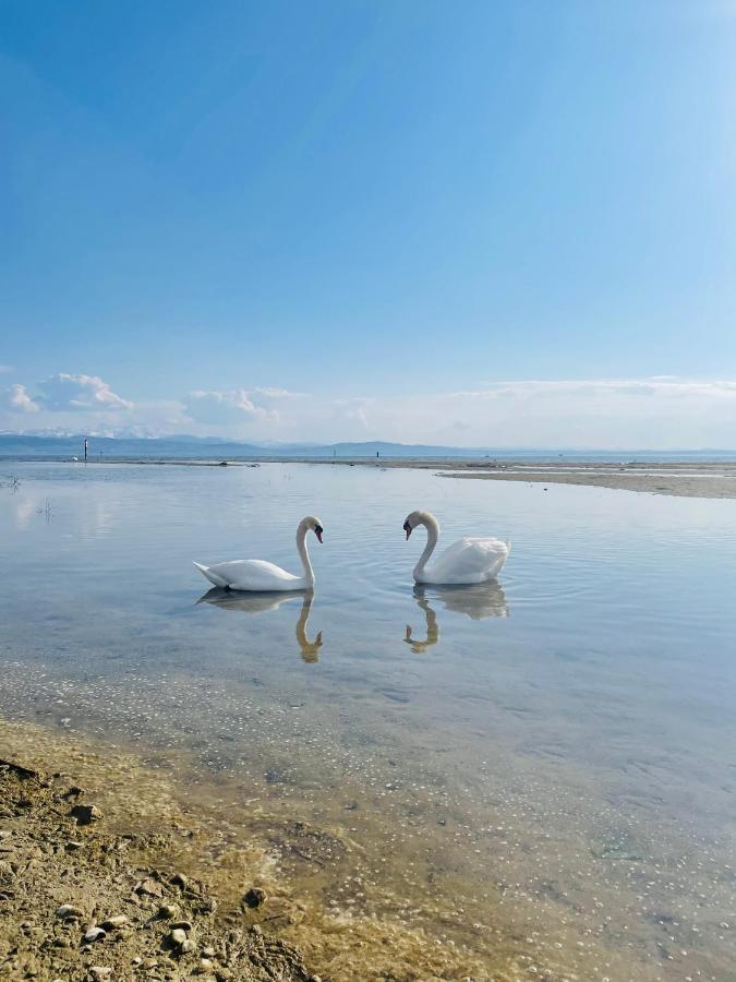 " Sunshine Am See " Friedrichshafen Exterior photo